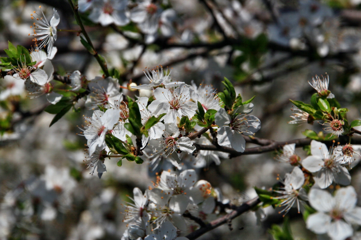 2015_04_15_00017294p_Bildgr��e �ndern