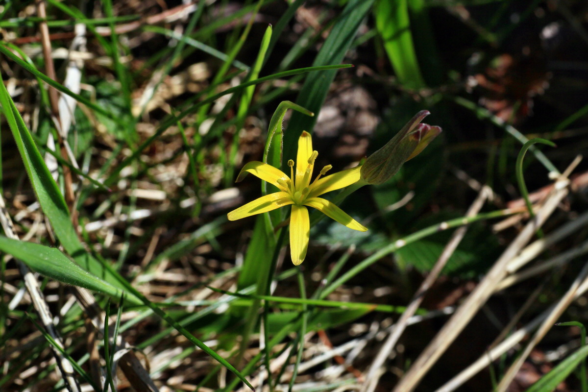 2015_04_15_00017297p_Bildgr��e �ndern