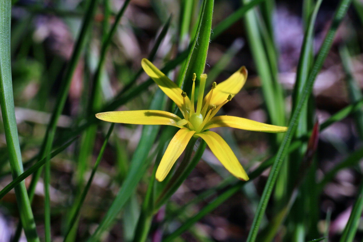 2015_04_15_00017305p_Bildgr��e �ndern