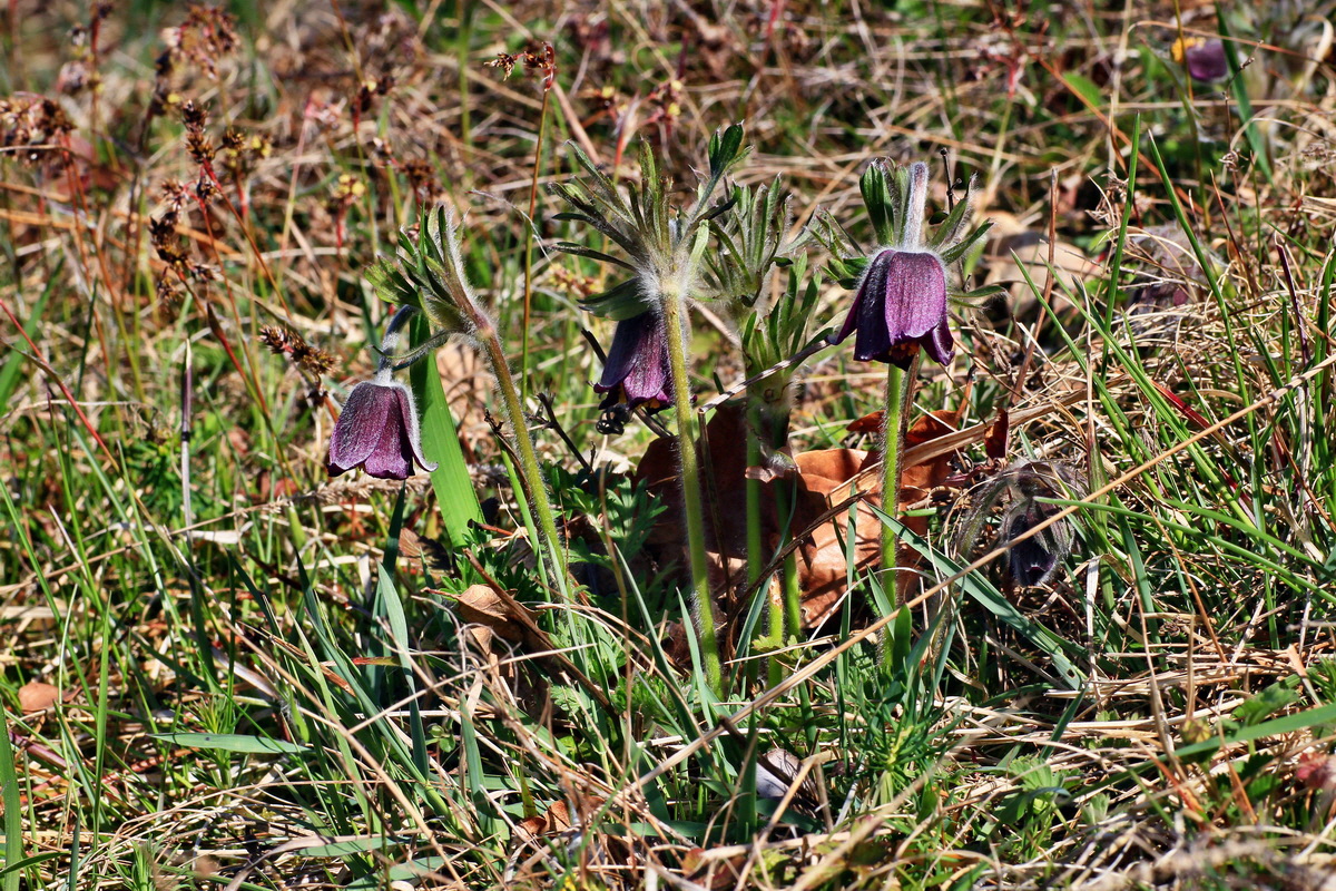 2015_04_15_00017312p_Bildgr��e �ndern