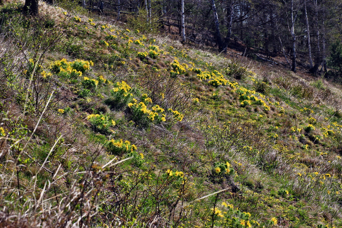 2015_04_15_00017315p_Bildgr��e �ndern