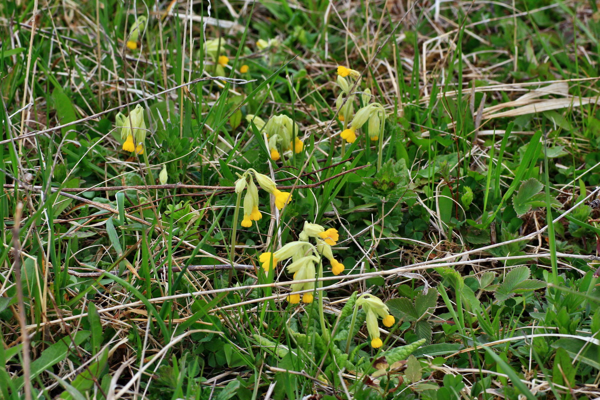 2015_04_18_00017316p_Bildgr��e �ndern