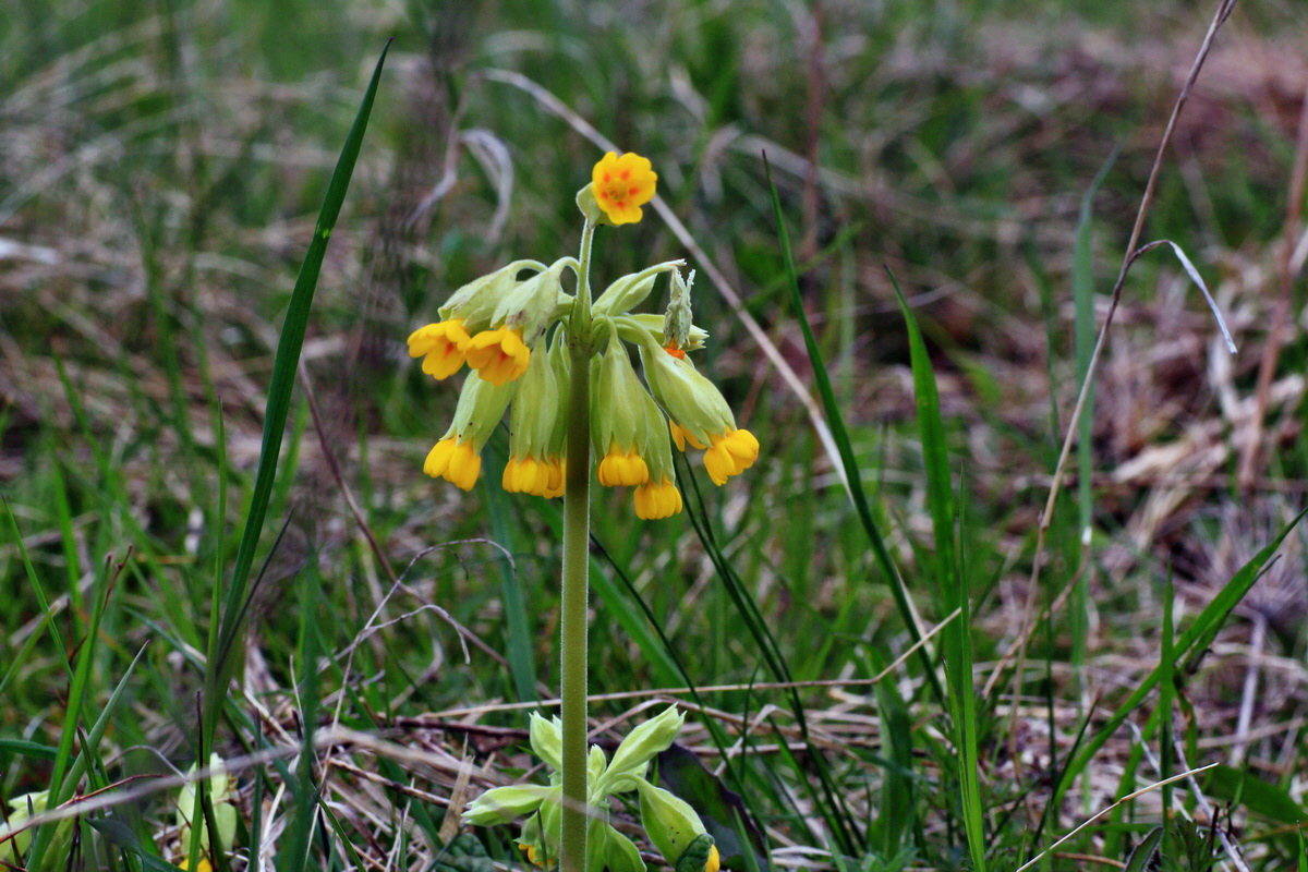 2015_04_18_00017319p_Bildgr��e �ndern