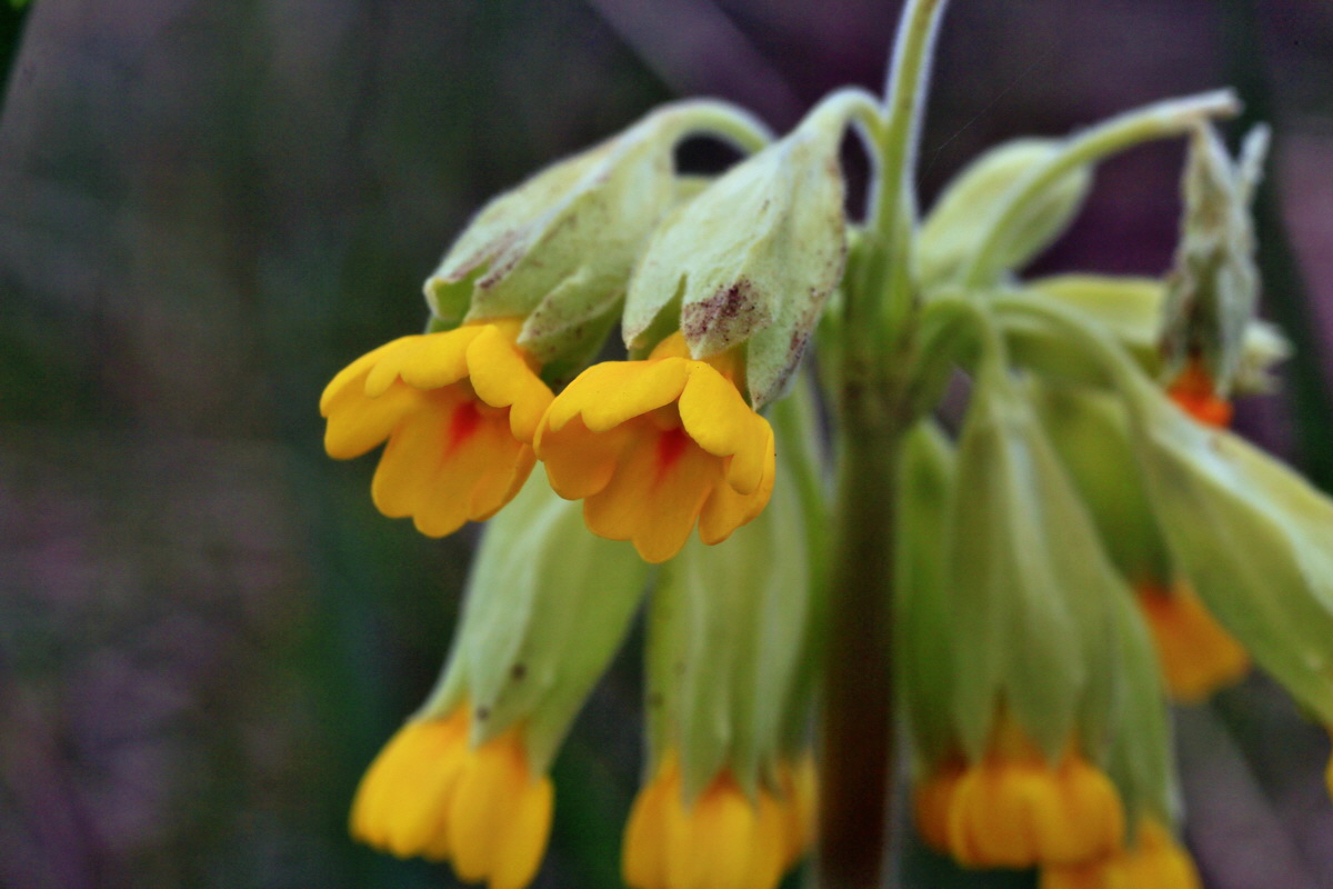 2015_04_18_00017321p_Bildgr��e �ndern