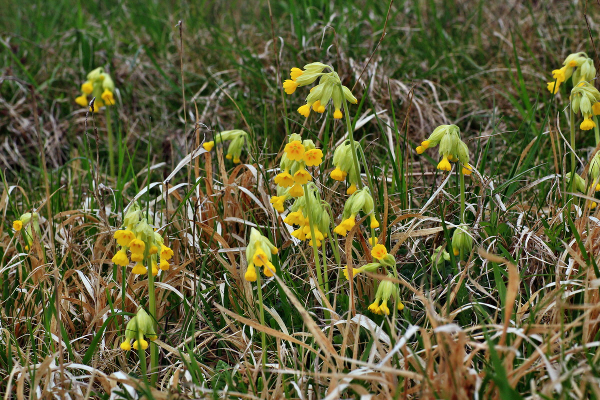 2015_04_18_00017326p_Bildgr��e �ndern