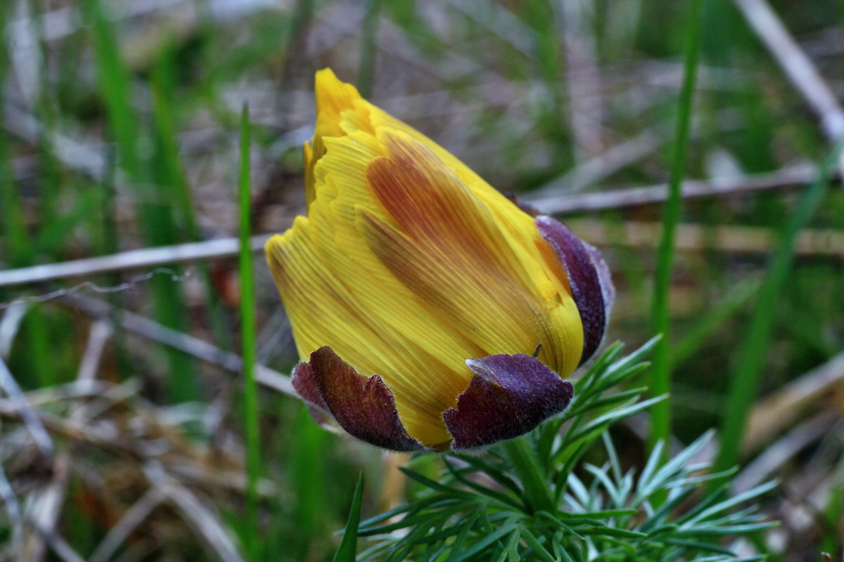 2015_04_18_00017338p_Bildgr��e �ndern