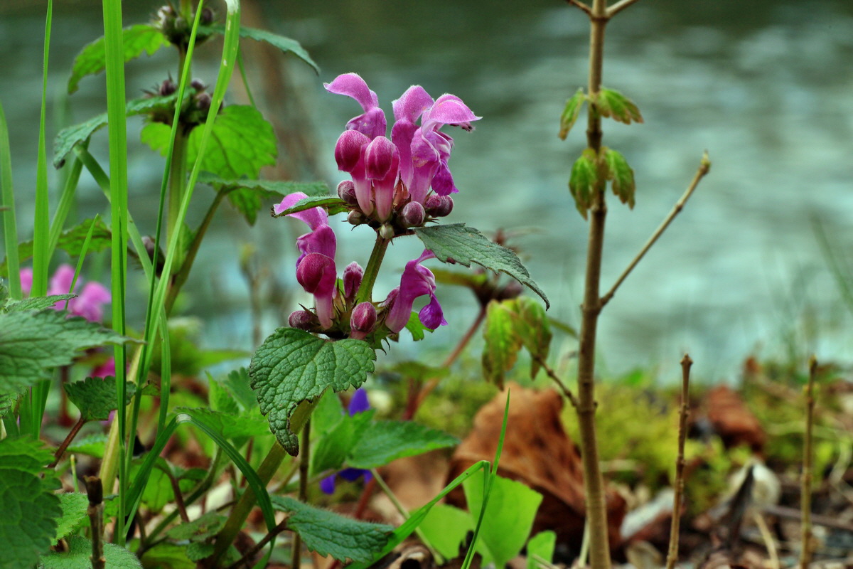 2015_04_18_00017348p_Bildgr��e �ndern