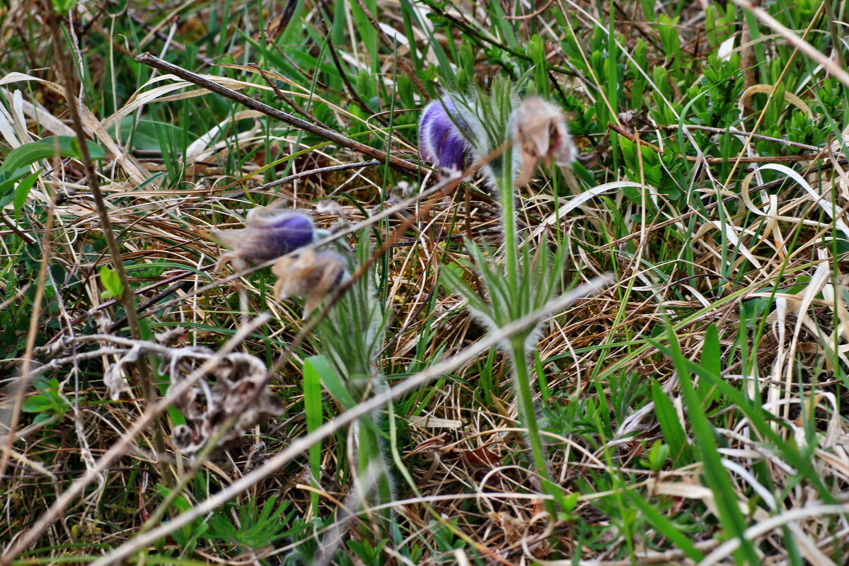 2015_04_18_00017354p_Bildgr��e �ndern