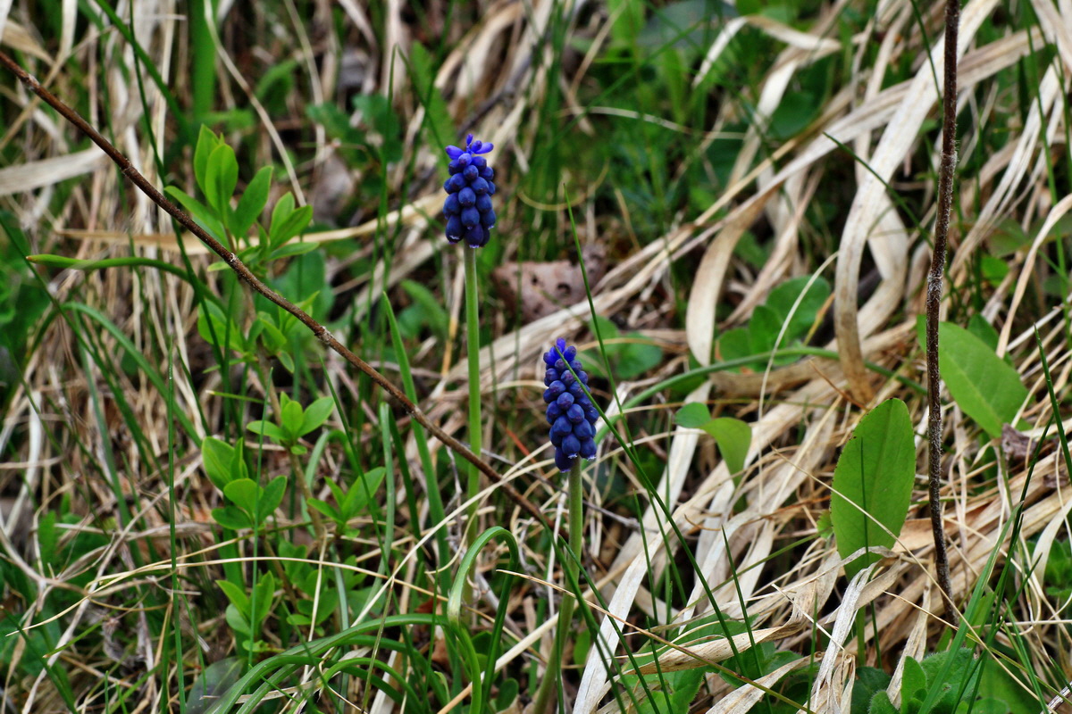 2015_04_18_00017358p_Bildgr��e �ndern