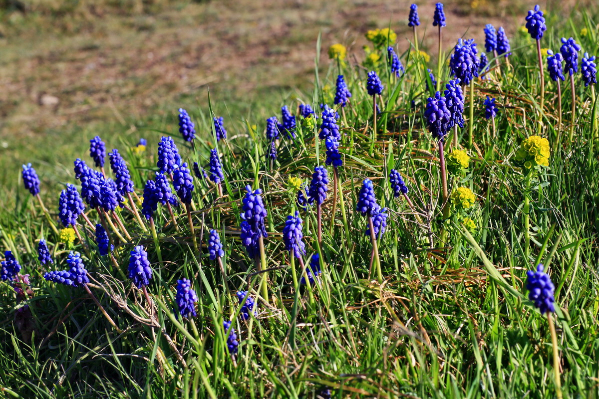 2015_04_20_00017364p_Bildgr��e �ndern