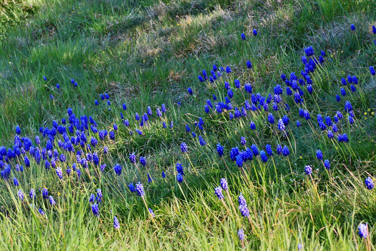 2015_04_20_00017369p_Bildgr��e �ndern