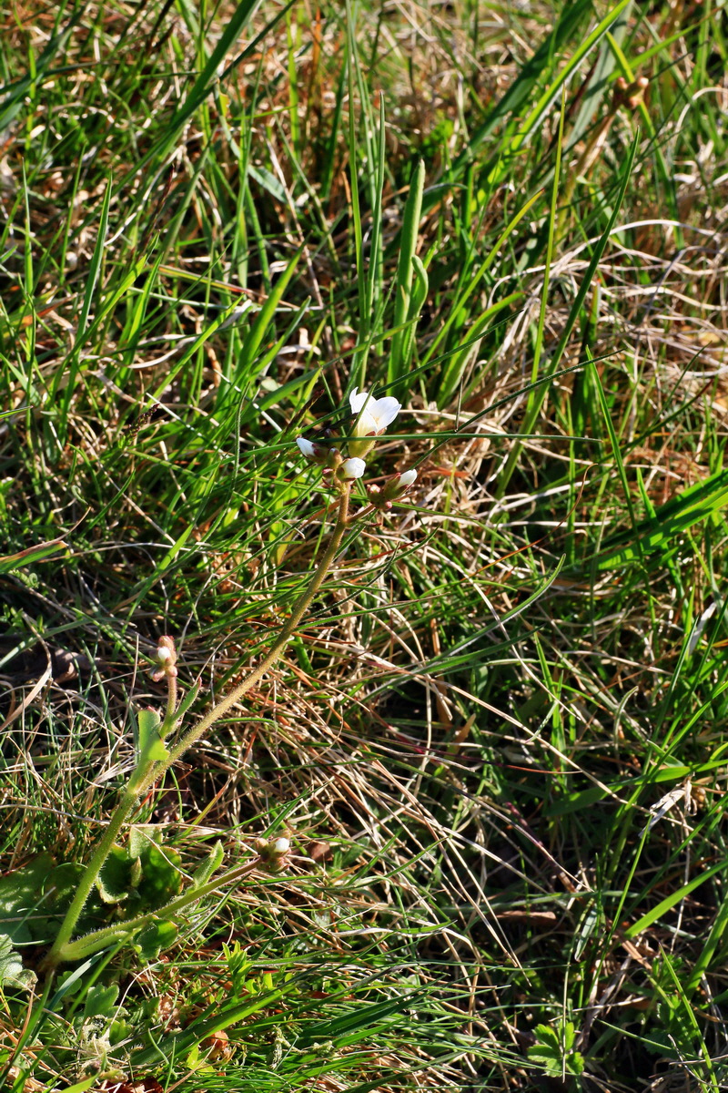 2015_04_20_00017373p_Bildgr��e �ndern