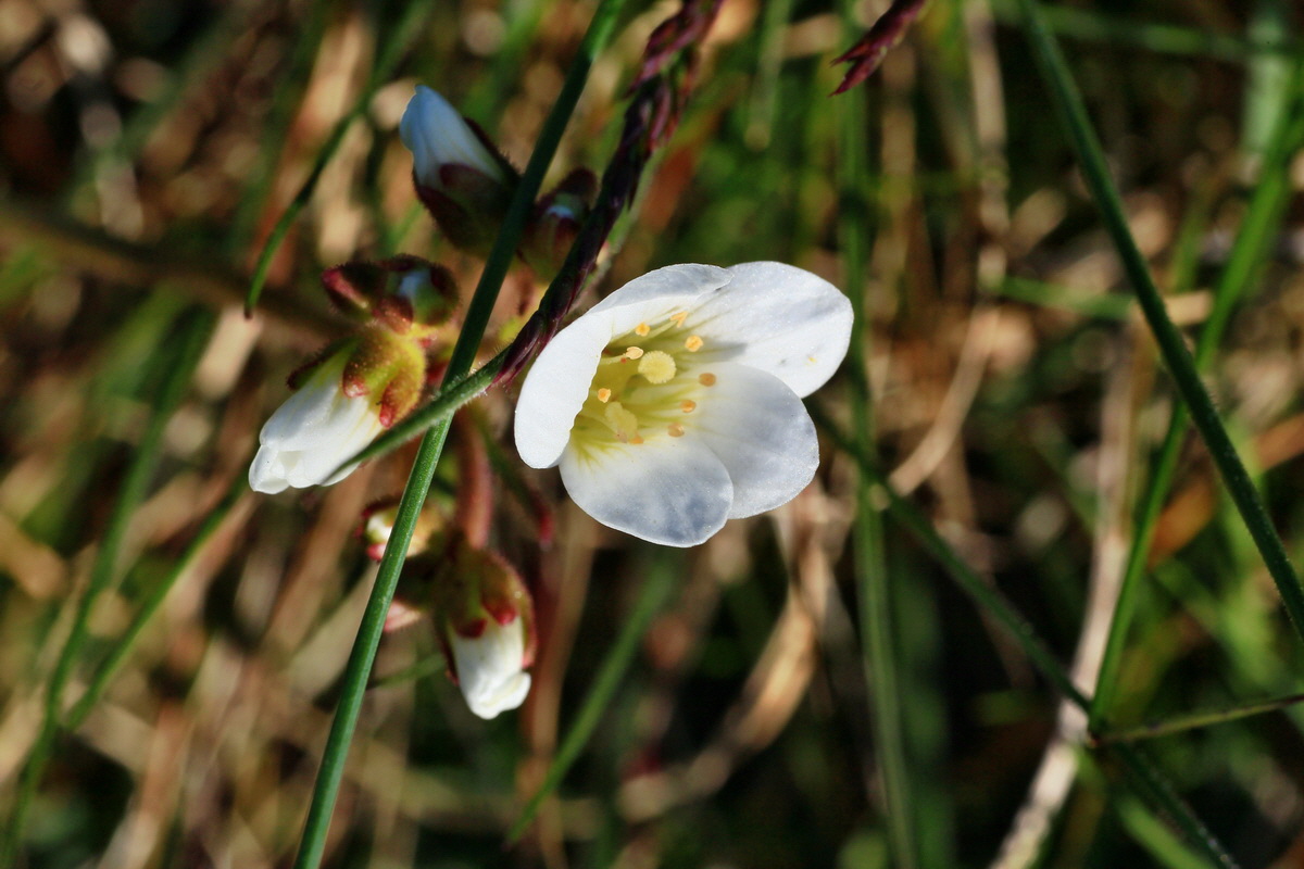 2015_04_20_00017375p_Bildgr��e �ndern