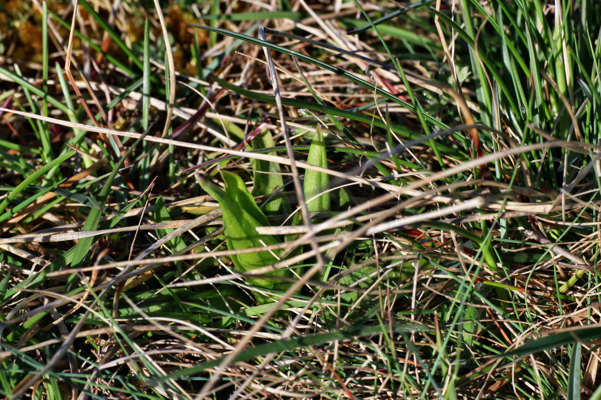 2015_04_20_00017378p_Bildgr��e �ndern