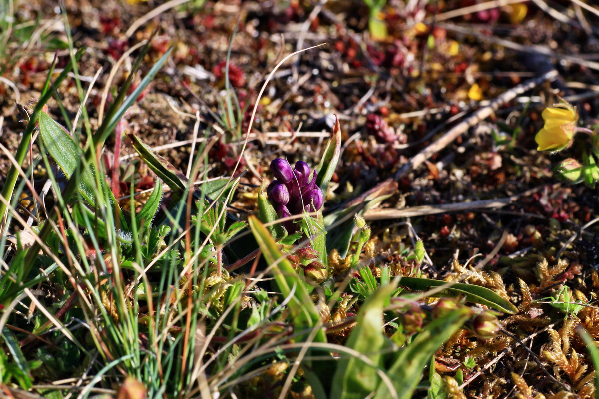 2015_04_20_00017383p_Bildgr��e �ndern