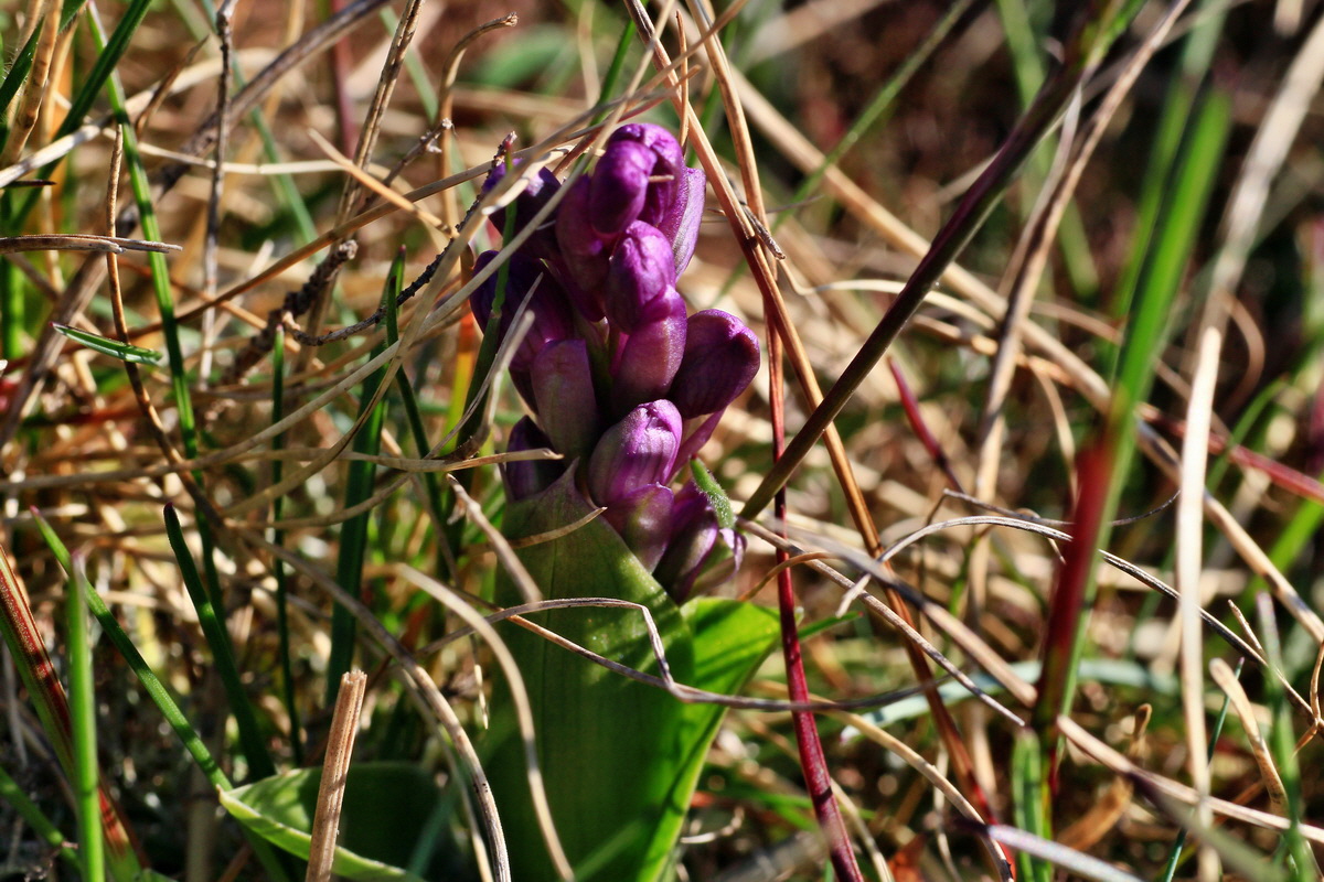 2015_04_20_00017385p_Bildgr��e �ndern