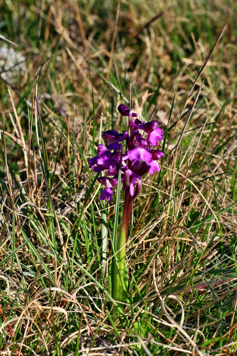 2015_04_20_00017389p_Bildgr��e �ndern