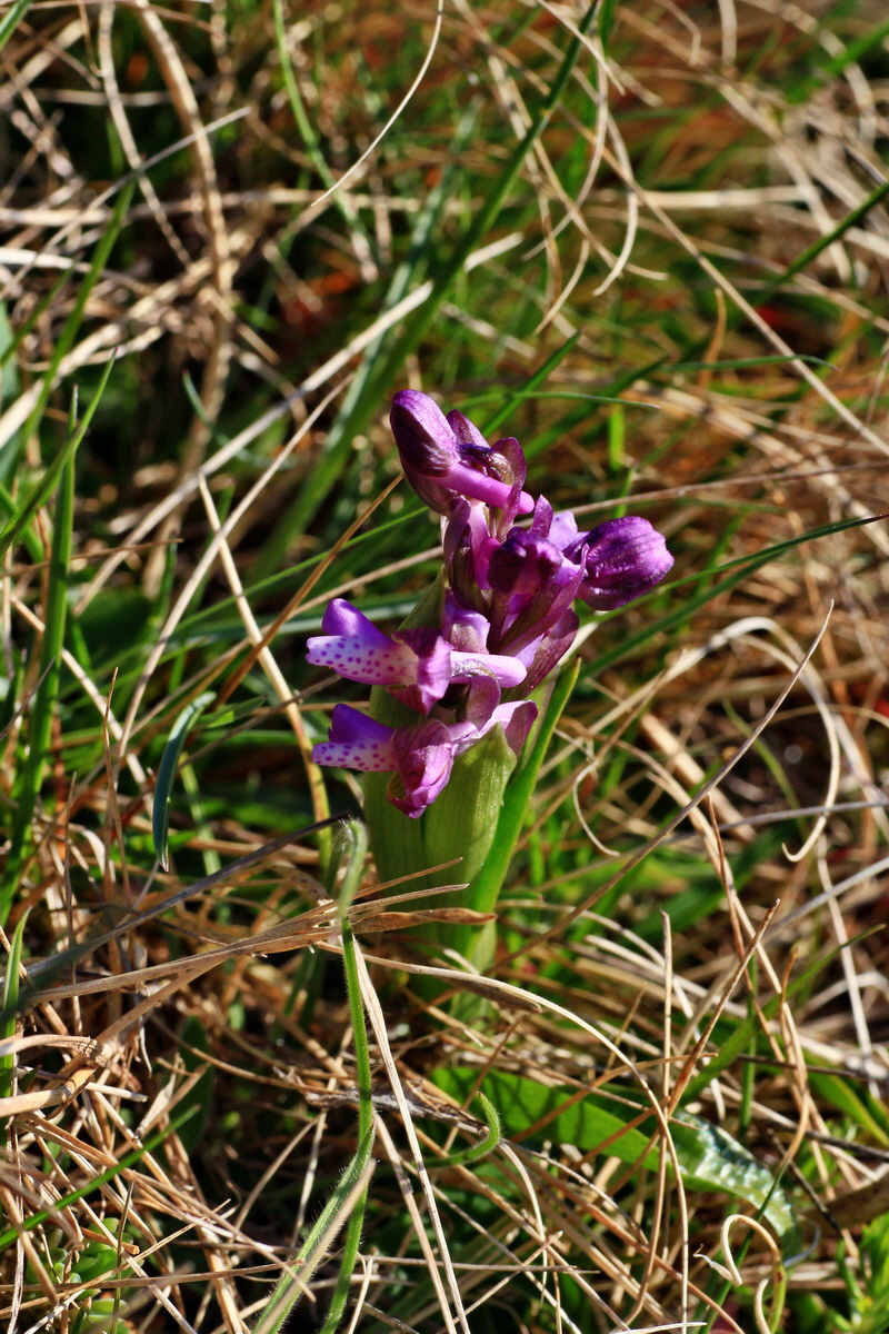 2015_04_20_00017391p_Bildgr��e �ndern