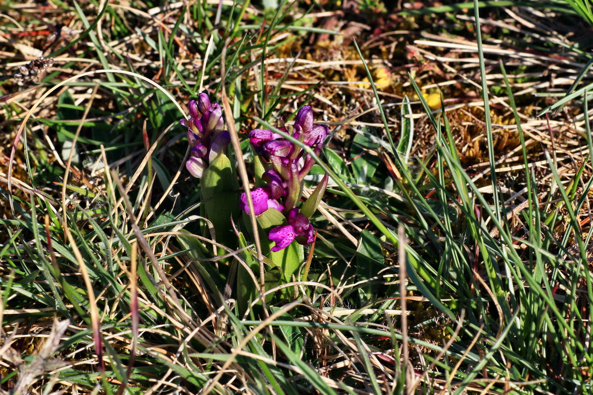 2015_04_20_00017393p_Bildgr��e �ndern