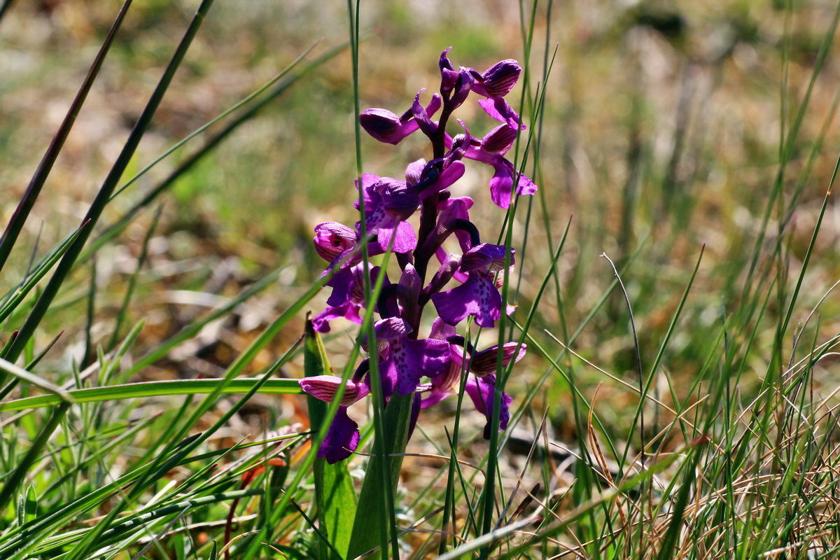 2015_04_20_00017395p_Bildgr��e �ndern