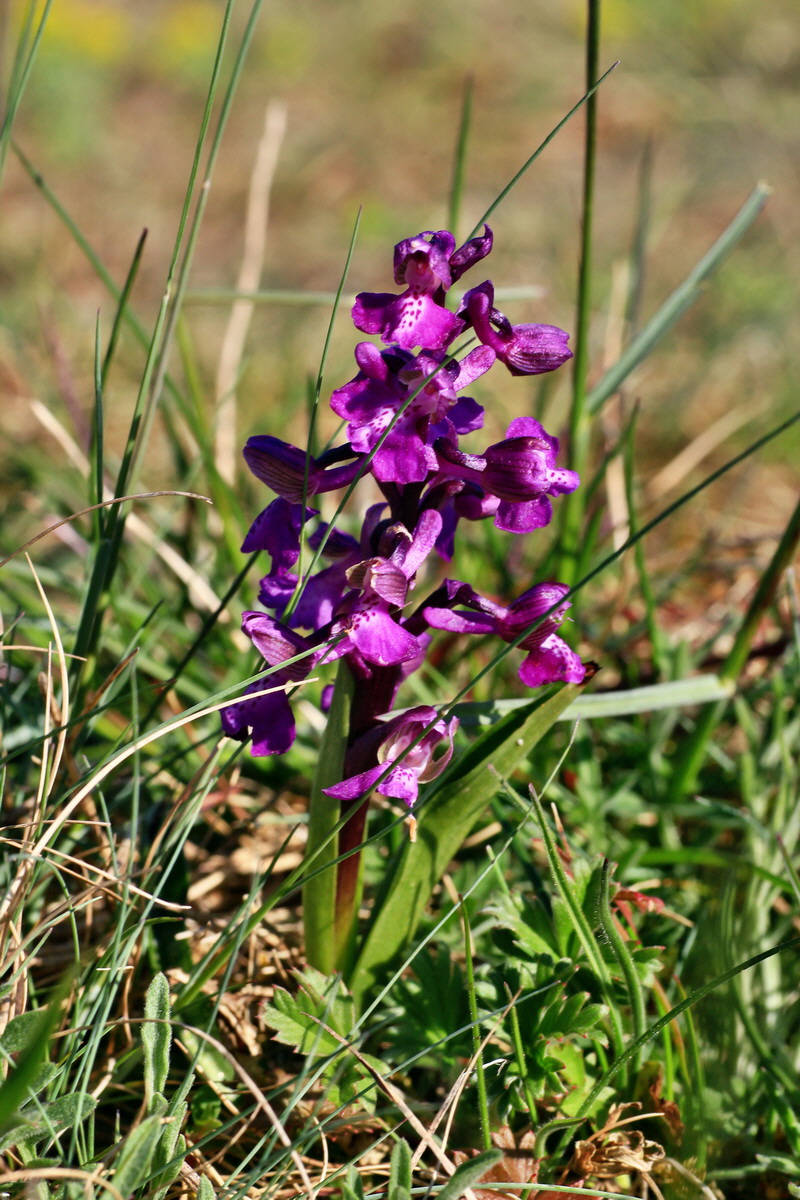 2015_04_20_00017399p_Bildgr��e �ndern