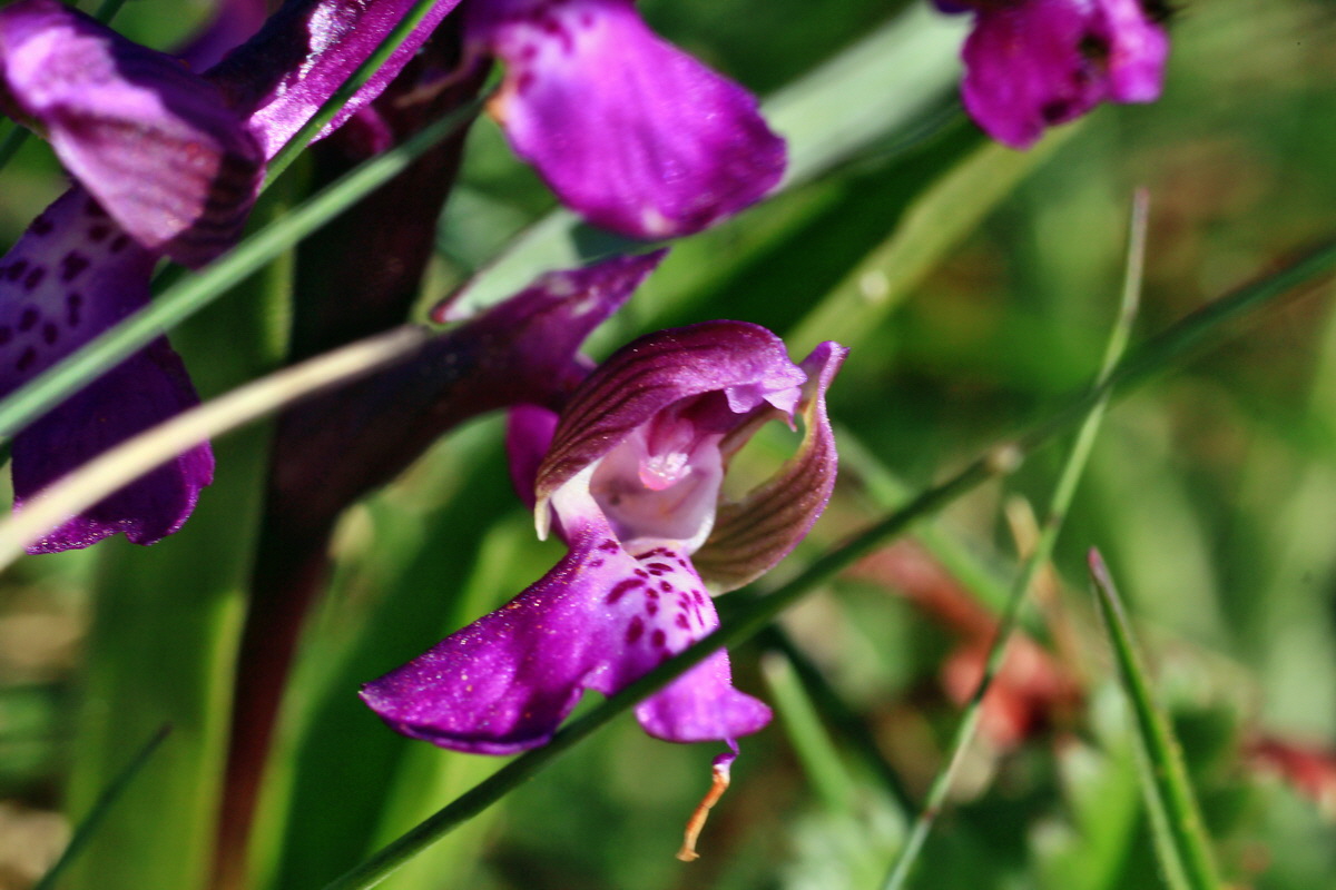 2015_04_20_00017401p_Bildgr��e �ndern