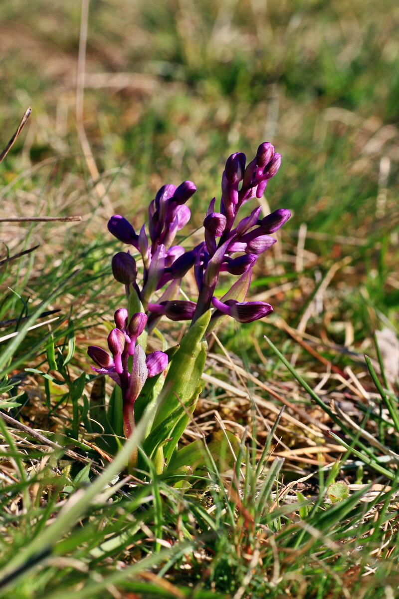 2015_04_20_00017408p_Bildgr��e �ndern