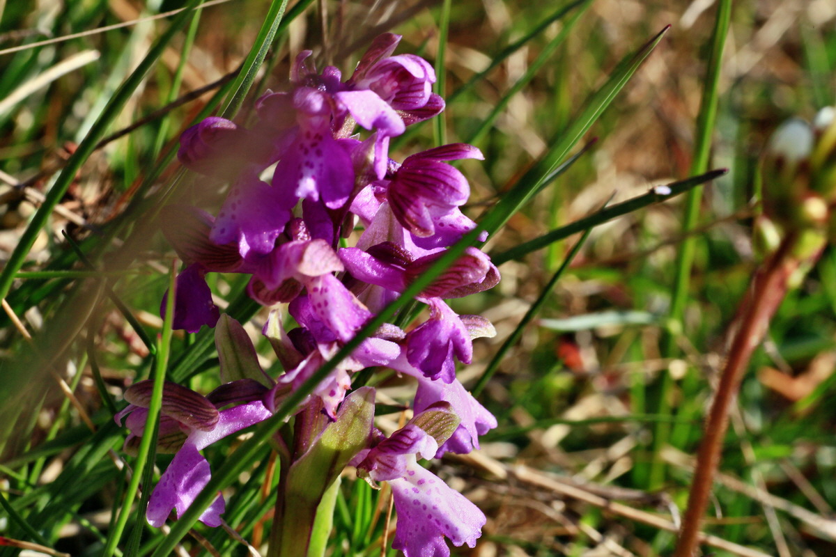 2015_04_20_00017411p_Bildgr��e �ndern