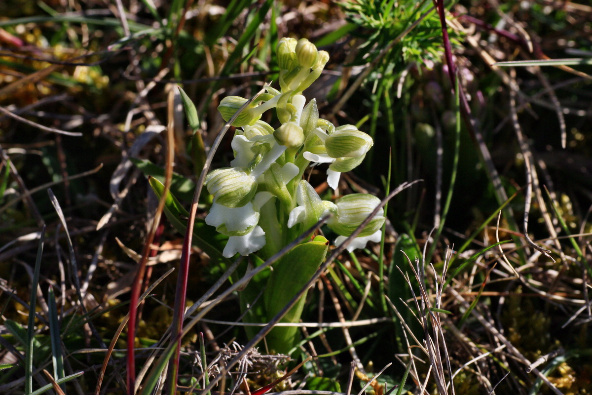 2015_04_20_00017416p_Bildgr��e �ndern