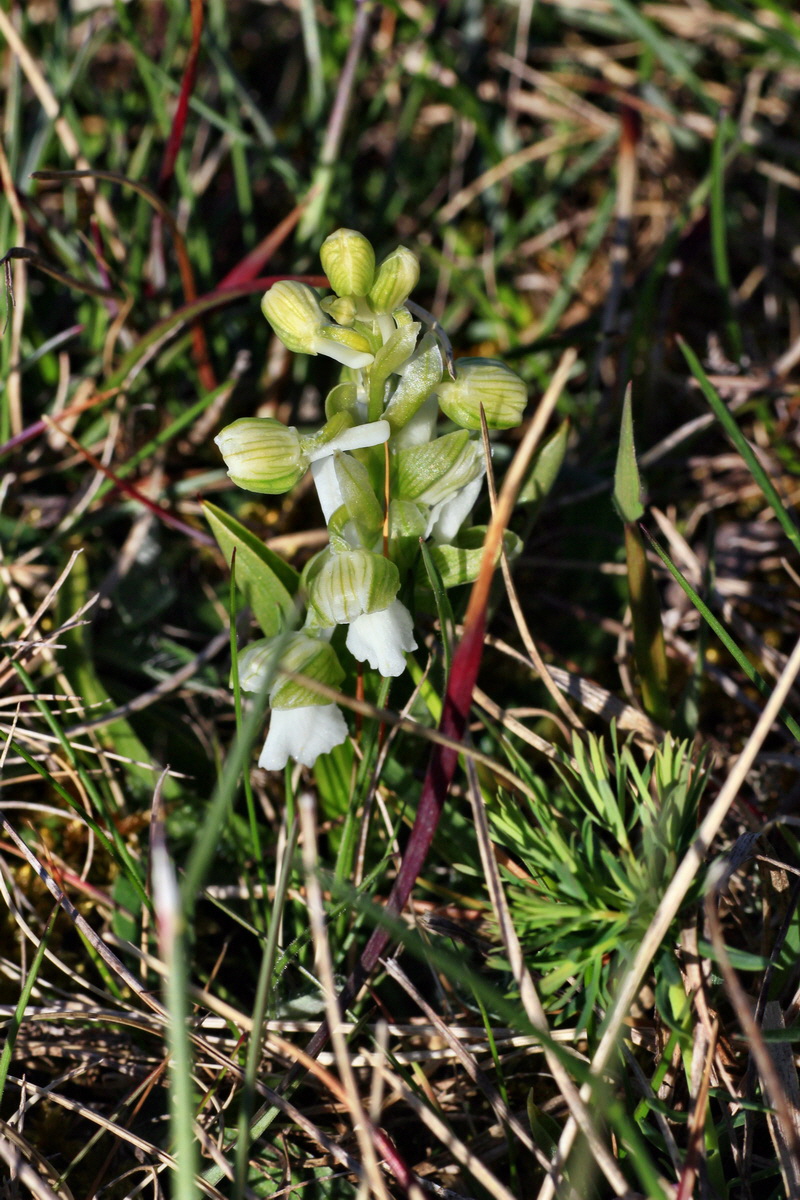 2015_04_20_00017421p_Bildgr��e �ndern