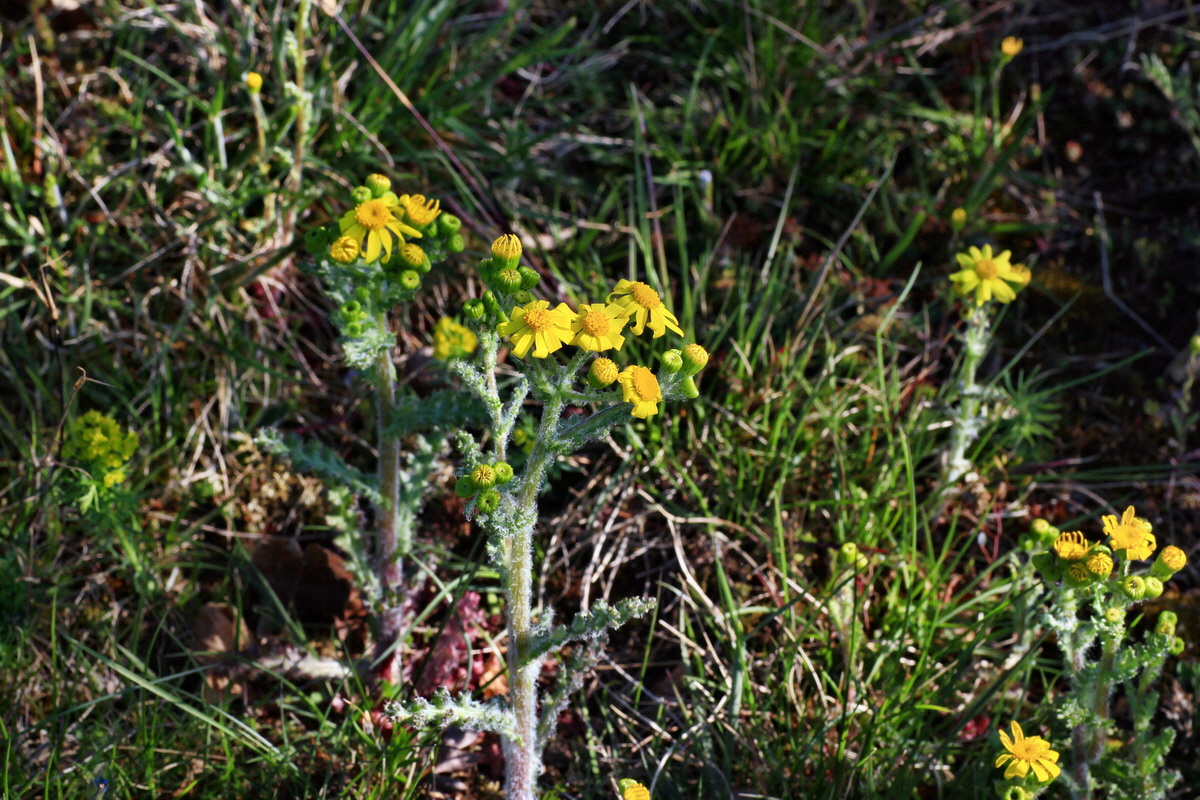 2015_04_20_00017424p_Bildgr��e �ndern