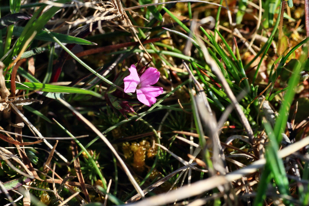 2015_04_20_00017430p_Bildgr��e �ndern