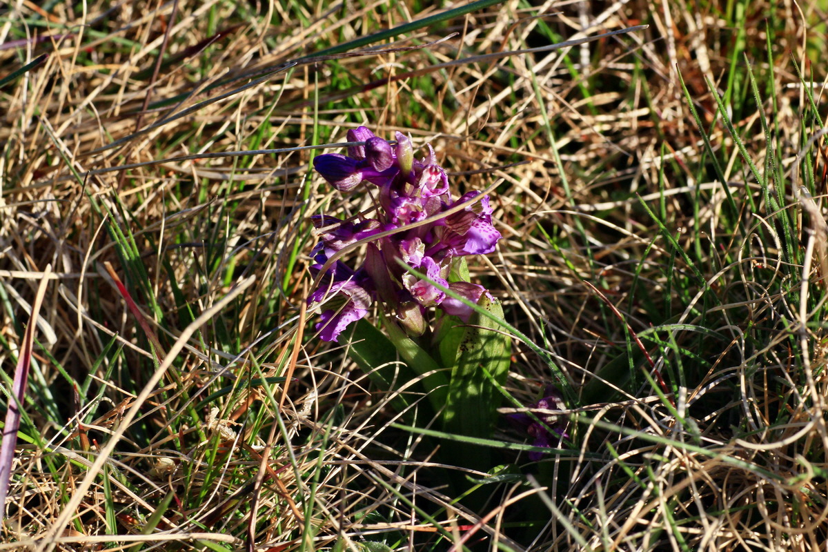 2015_04_20_00017432p_Bildgr��e �ndern