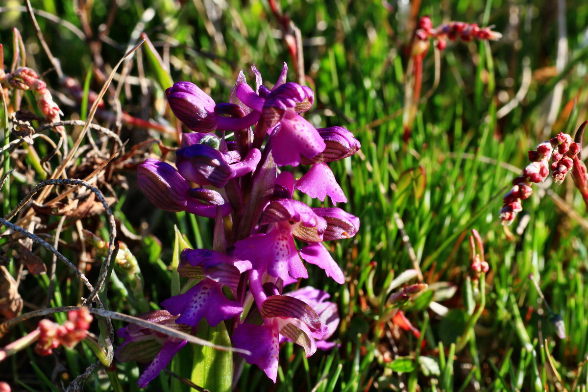 2015_04_20_00017436p_Bildgr��e �ndern