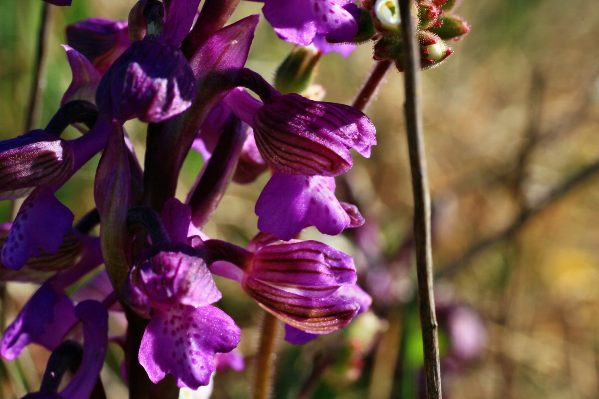 2015_04_20_00017445p_Bildgr��e �ndern