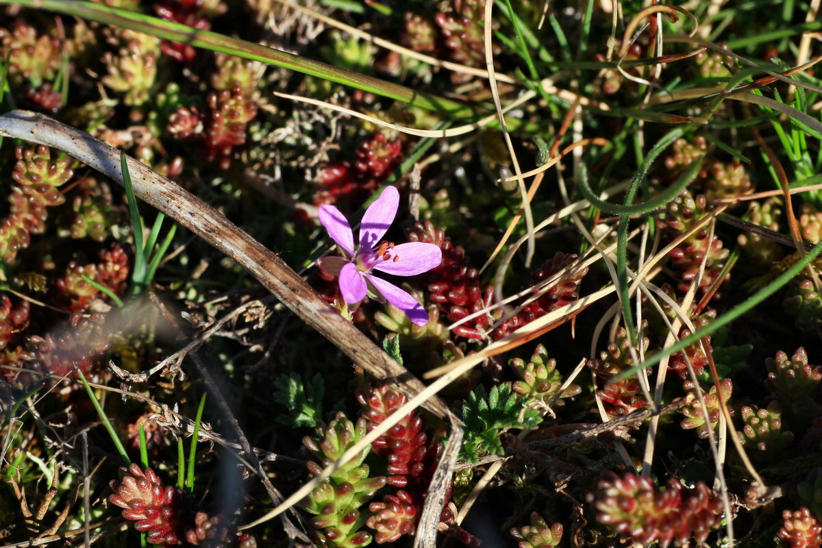 2015_04_20_00017449p_Bildgr��e �ndern