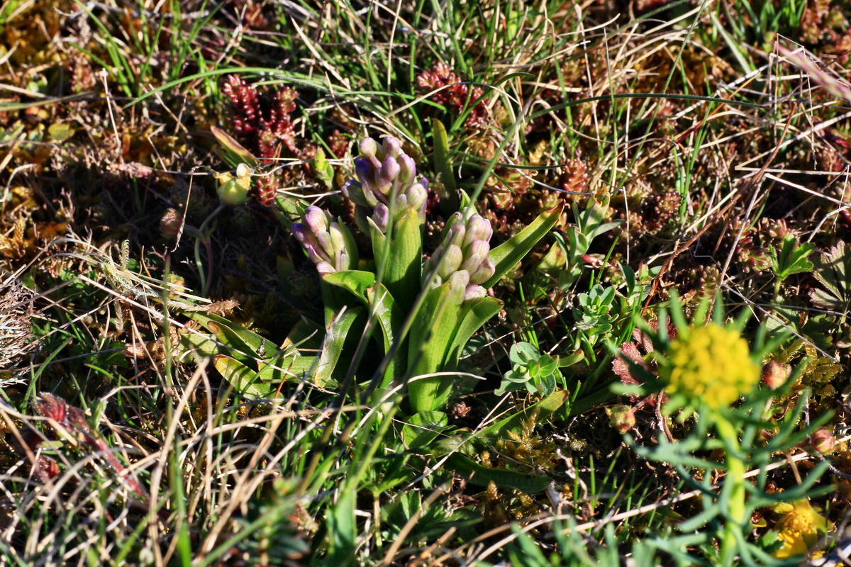 2015_04_20_00017451p_Bildgr��e �ndern