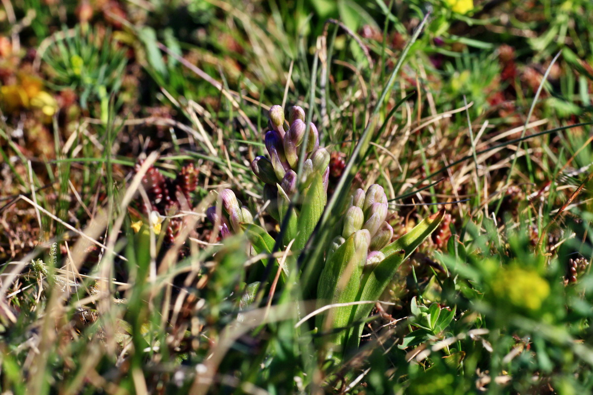 2015_04_20_00017454p_Bildgr��e �ndern