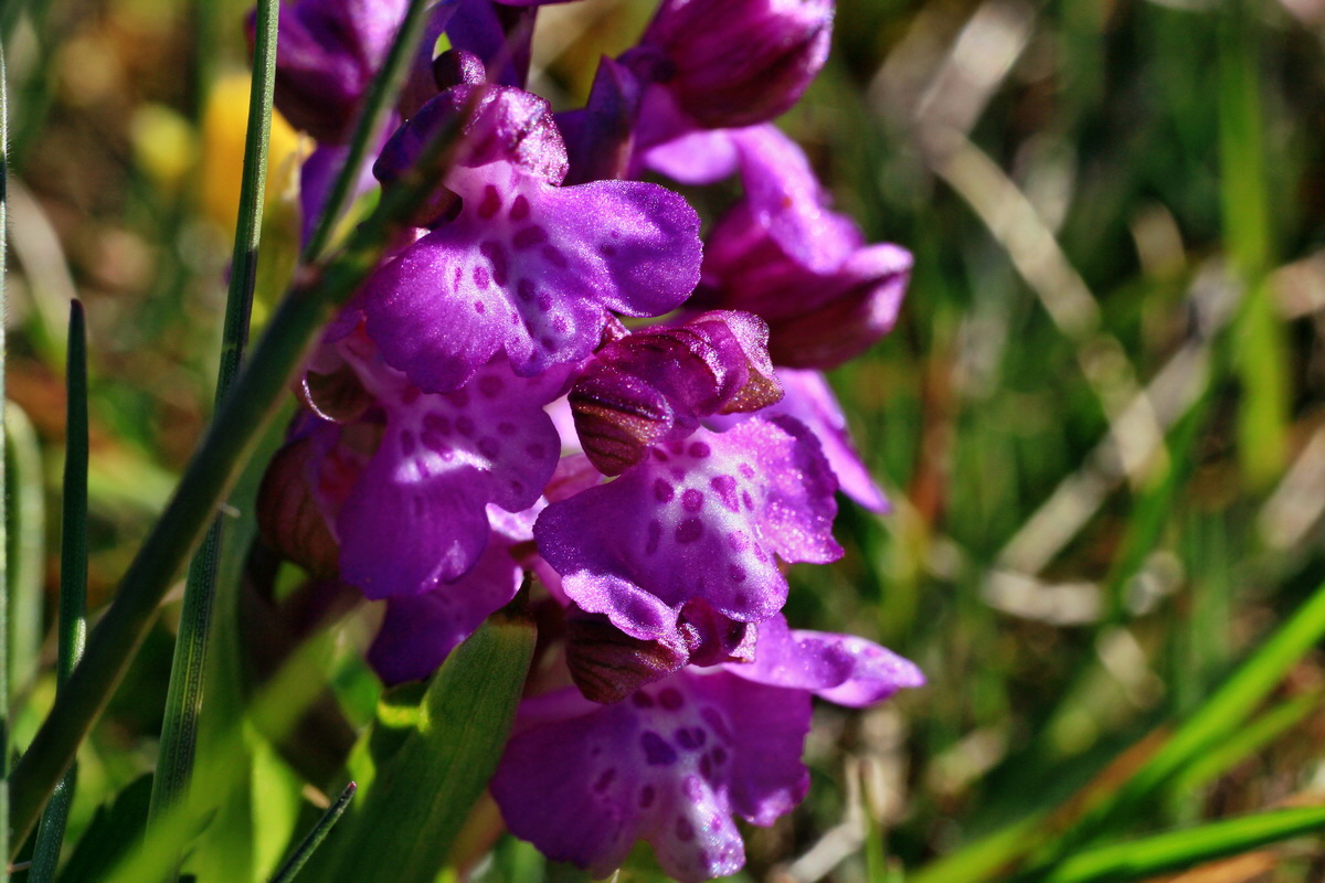 2015_04_20_00017457p_Bildgr��e �ndern