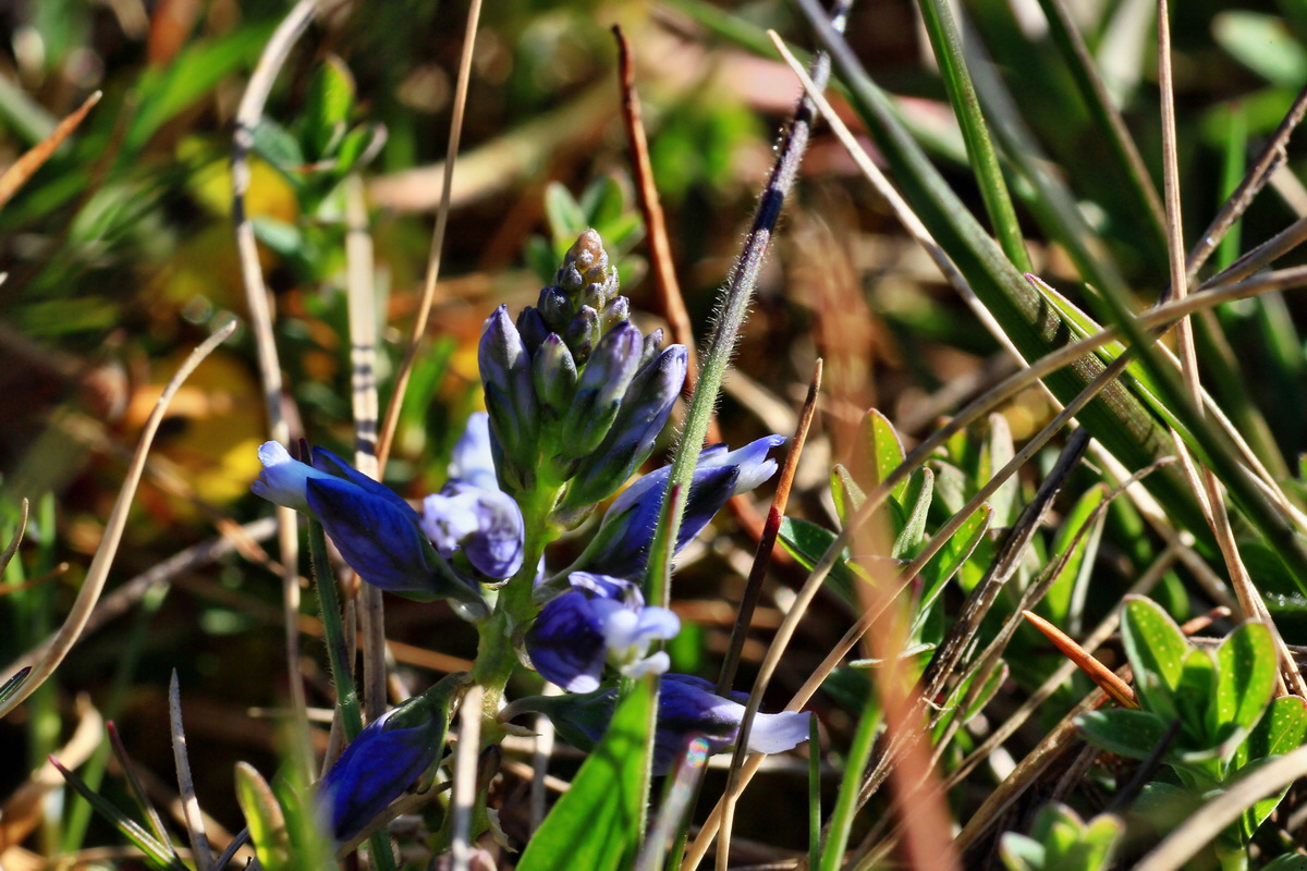 2015_04_20_00017459p_Bildgr��e �ndern