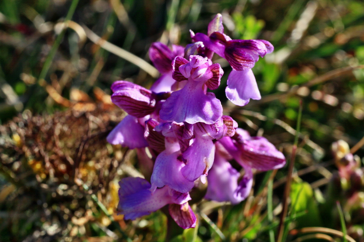 2015_04_20_00017462p_Bildgr��e �ndern