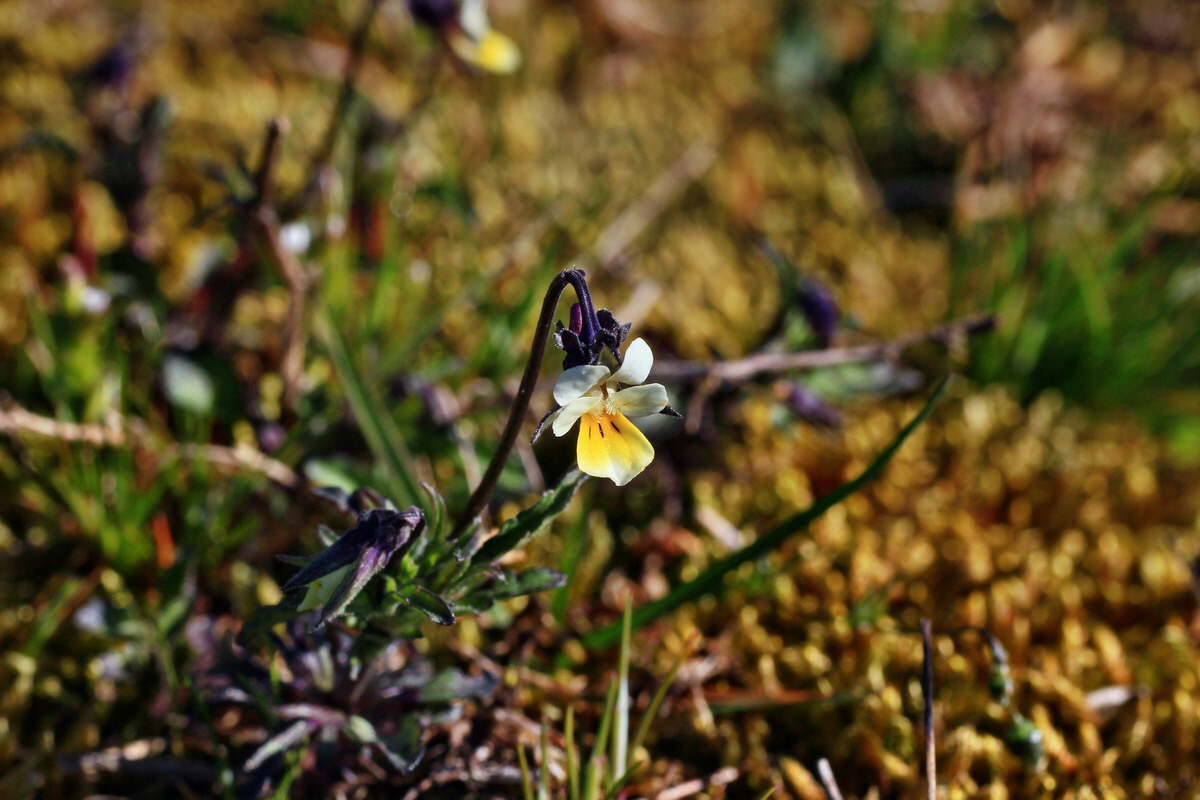 2015_04_20_00017463p_Bildgr��e �ndern