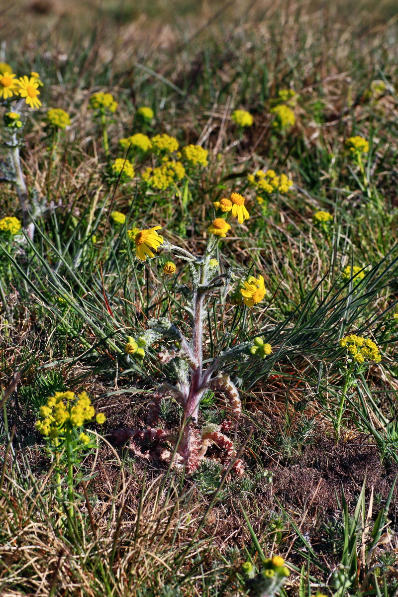 2015_04_20_00017468p_Bildgr��e �ndern