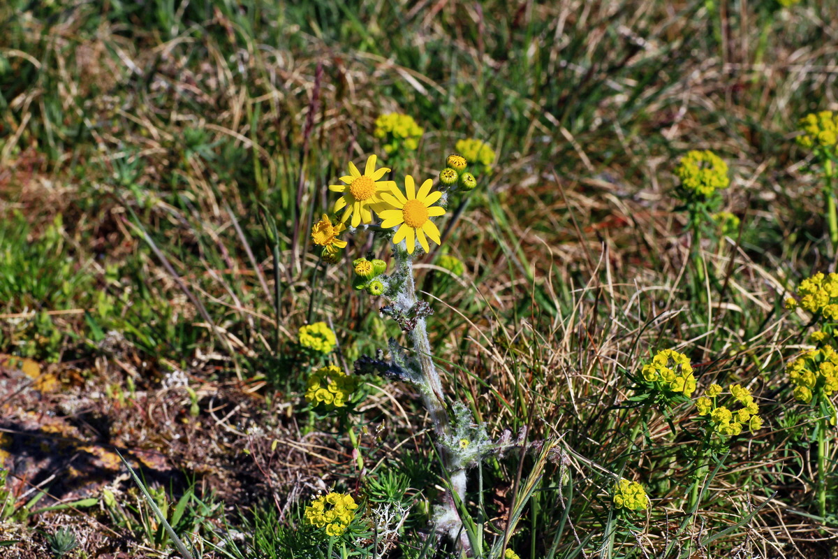 2015_04_20_00017470p_Bildgr��e �ndern