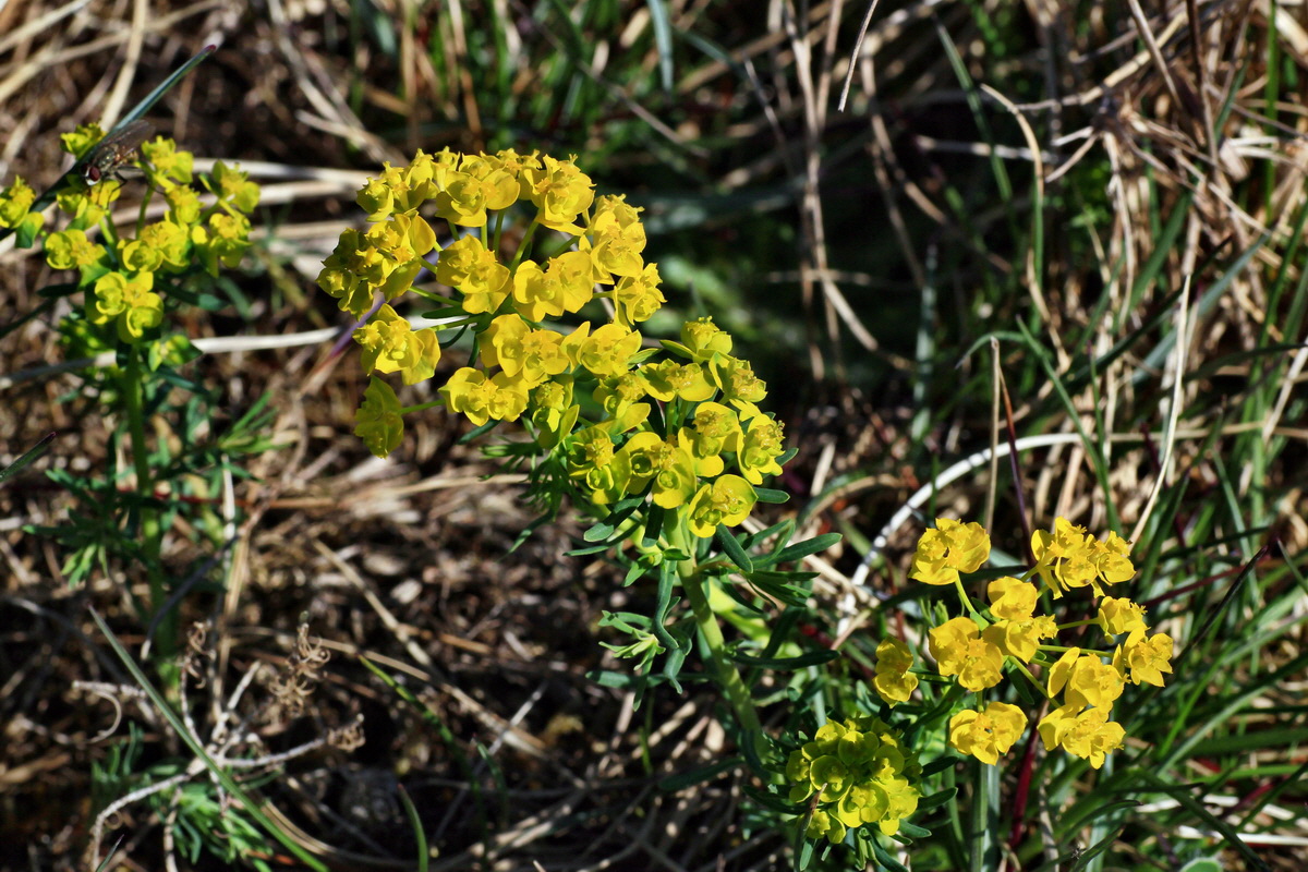 2015_04_20_00017474p_Bildgr��e �ndern