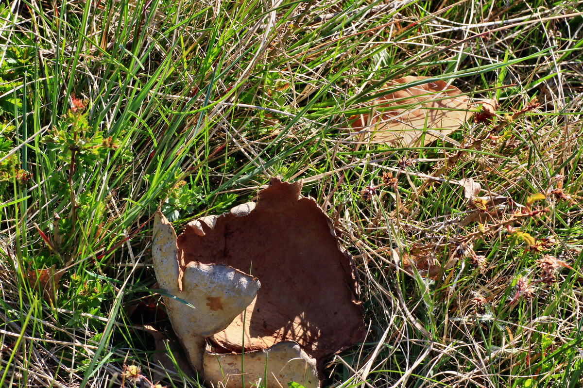 2015_04_20_00017477p_Bildgr��e �ndern