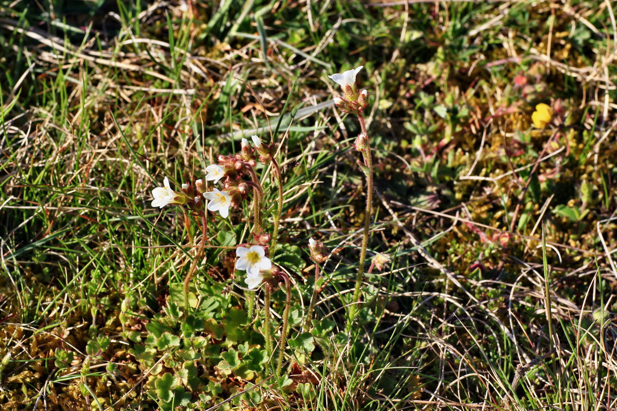 2015_04_20_00017478p_Bildgr��e �ndern