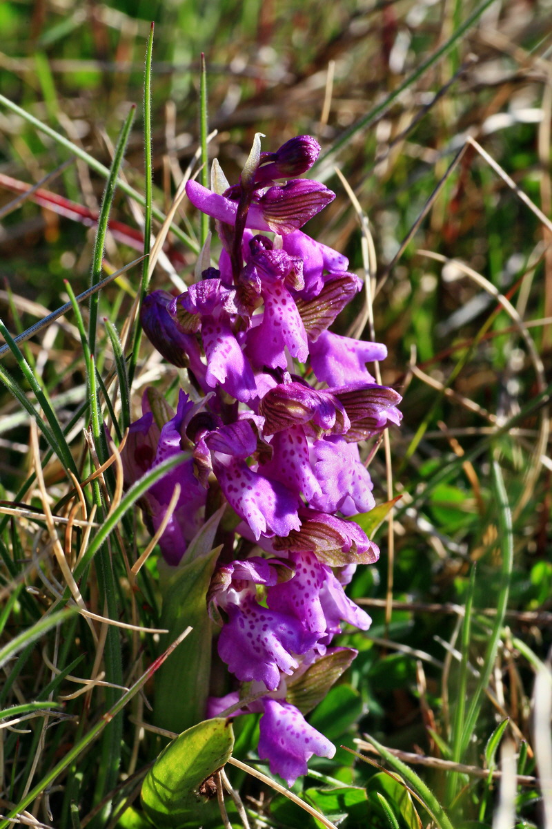 2015_04_20_00017480p_Bildgr��e �ndern