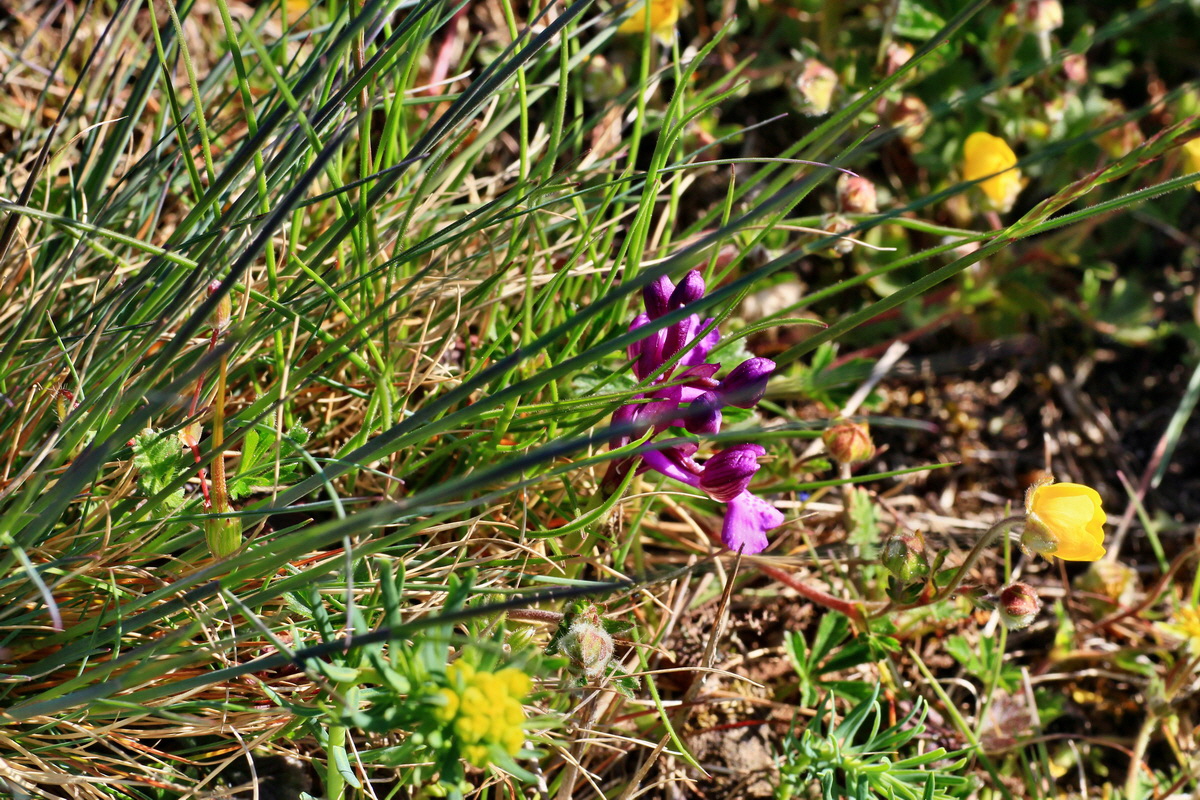 2015_04_20_00017486p_Bildgr��e �ndern