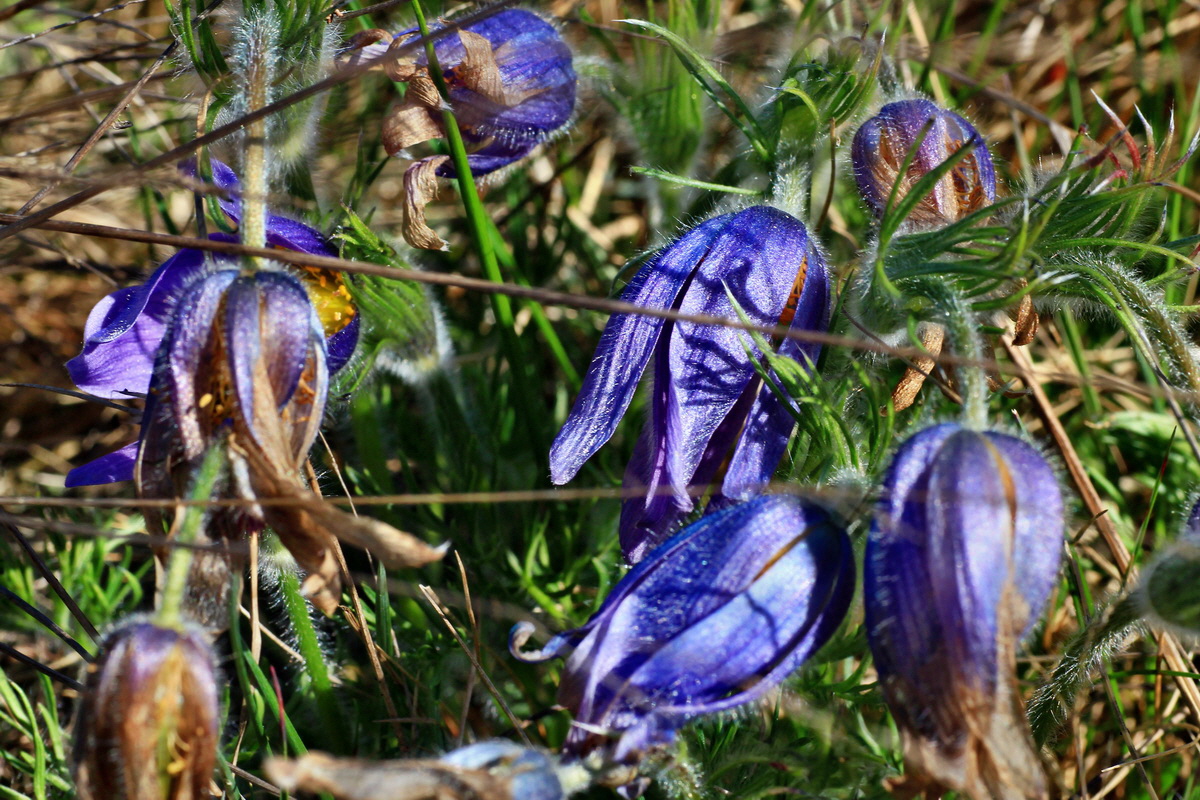 2015_04_20_00017488p_Bildgr��e �ndern